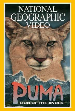 Puma - Leão dos Andes - Legendado
