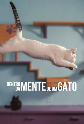 Dentro da Mente de um Gato - Legendado